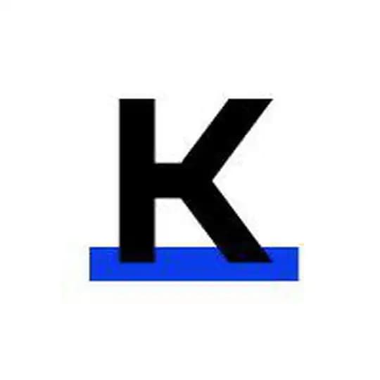 The Kyiv Independent Profile