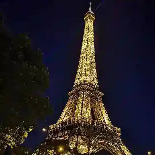 Learning French (apprendre le français) Profile