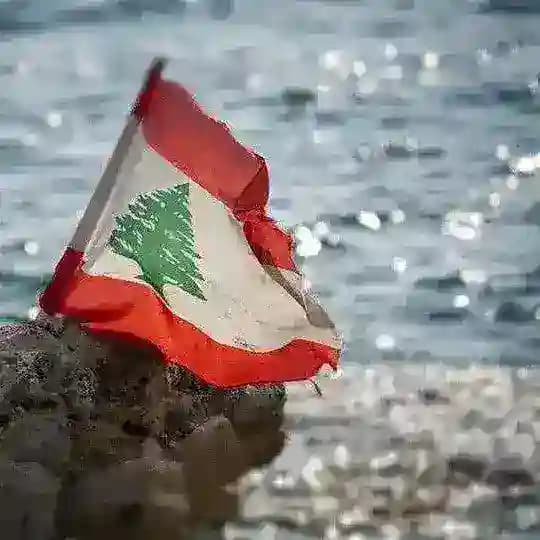 Lebanese News and Updates Profile