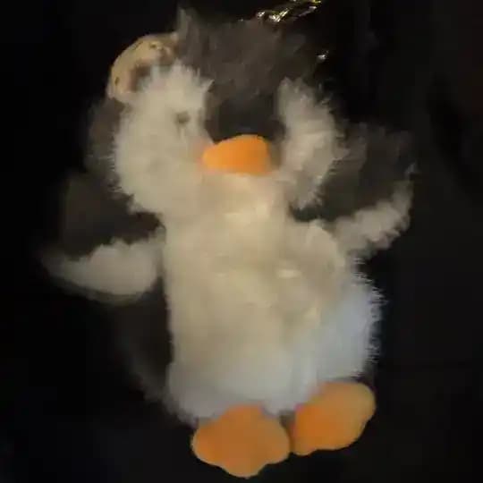 ☘︎ ℒ𝓎𝓃'𝓈 𝓅𝓇ℯ𝓁ℴ𝓋ℯ𝒹𝓈 ☘︎ Profile