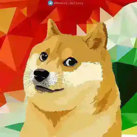 Memers Gallery ™ Profile