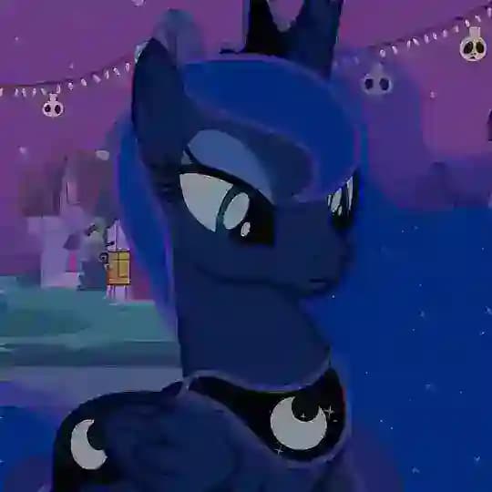 m’s outlet Profile