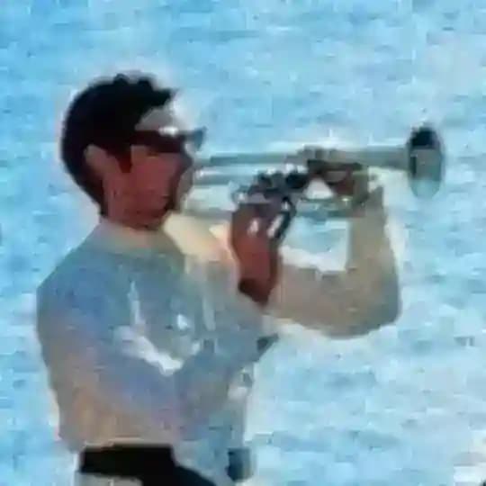 Music for Emotionally Impaired Profile