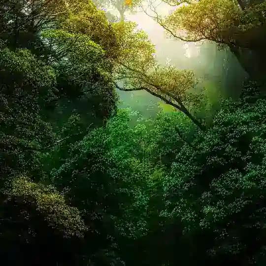 Nature Landscape Animal Photography Videos - TikTok Backup by AppleEditing [Mountains / Glaciers / Oceans / Switzerland] Profile