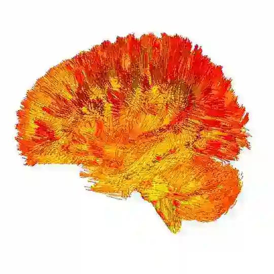 Neuroscience news Profile