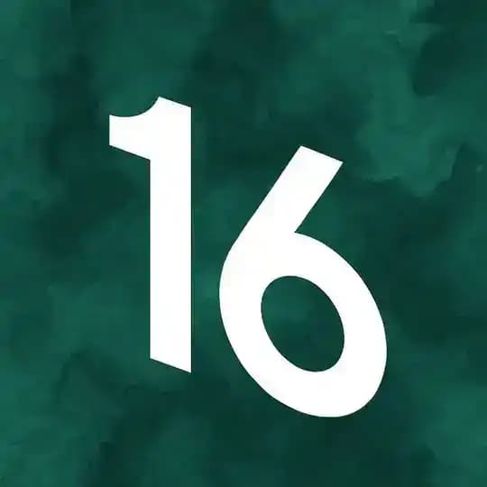 Шмит16 гид Profile