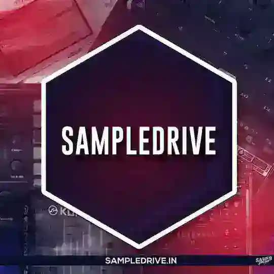 SampleDrive (Updates) 2.0 Profile