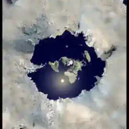 Self-Awareness🦀🕸🌾 Profile