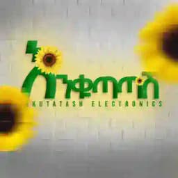 Enkutatash Electronics Profile