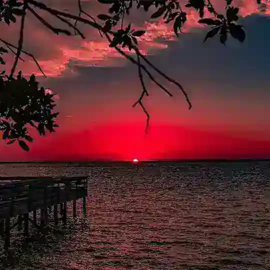 Whatsapp Status_123. Romantic. Break up. Broken heart. Motivational. Attitude. All. Indian. Nice. Sad. Bollywood. Love. Awesome Profile