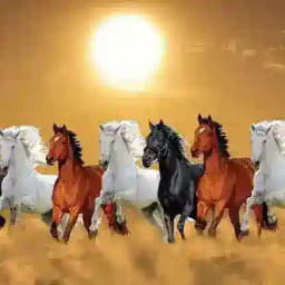 Sunil Bhai™ (2010) Profile