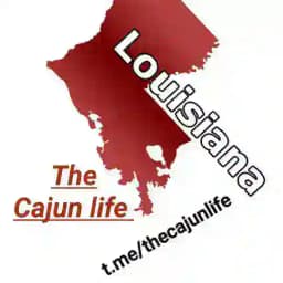 The Cajun Life🐊 Profile