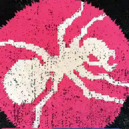 The Prodigy Daily Profile