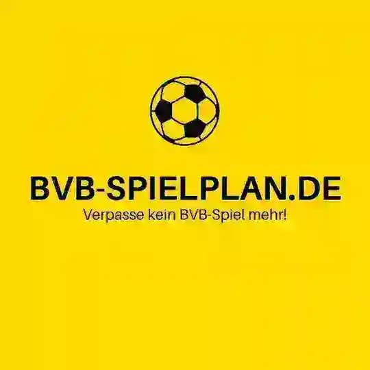BVB - News Profile