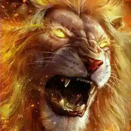 Ҝ Ҝ ™ J α c k p σ t - ᗰ α t c h є s Profile