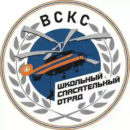 Школьные спасательные отряды ВСКС Profile