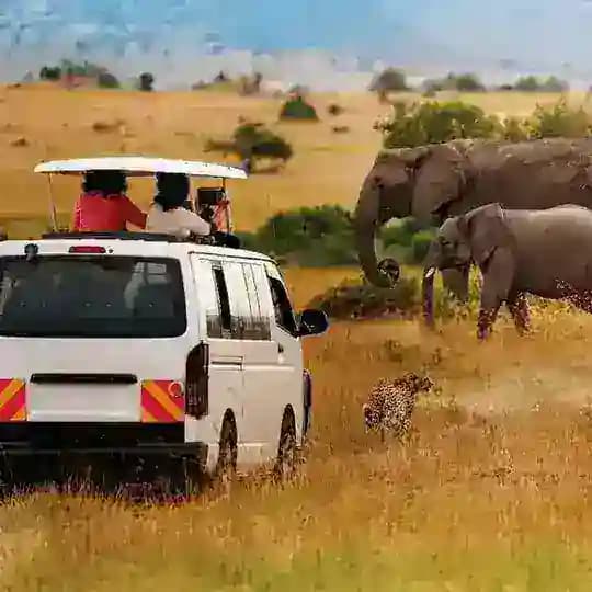 @Epanoui_Vibes_Safaris_ltd 🇺🇬🇺🇬🔥🔥✈️🏕⛺️🏕🛳✈️ Profile