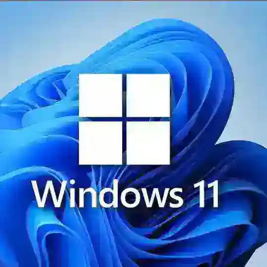 Windows11 optimized versions - Preinsalled Runtimes & Common softwares Profile
