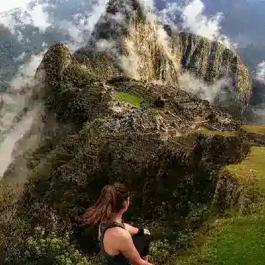 Wonderful Discovery Profile