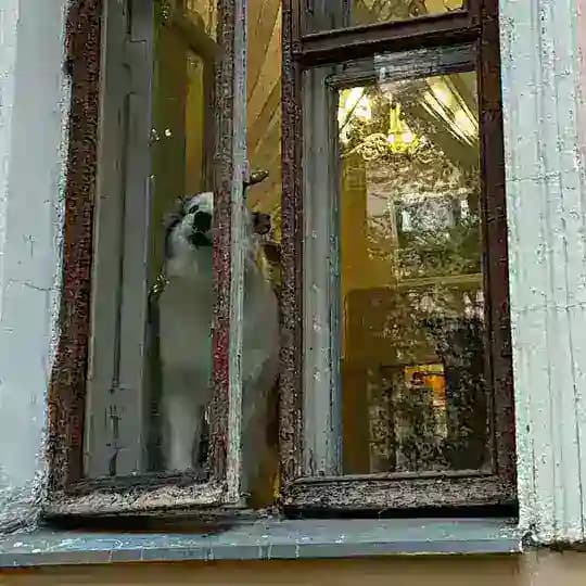 Дом Телешова Profile