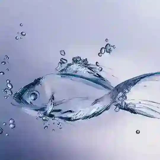 Аквариум - мое хобби🇺🇿 Profile