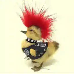 ⋆˚𖦹evilhagz⋆˚꩜｡ Profile