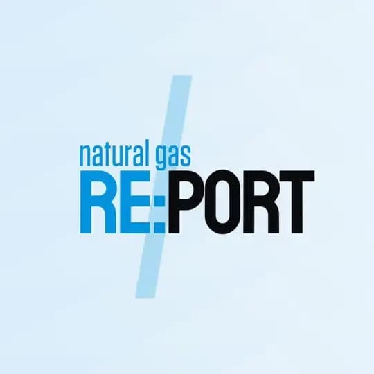 NG / Re:port Profile