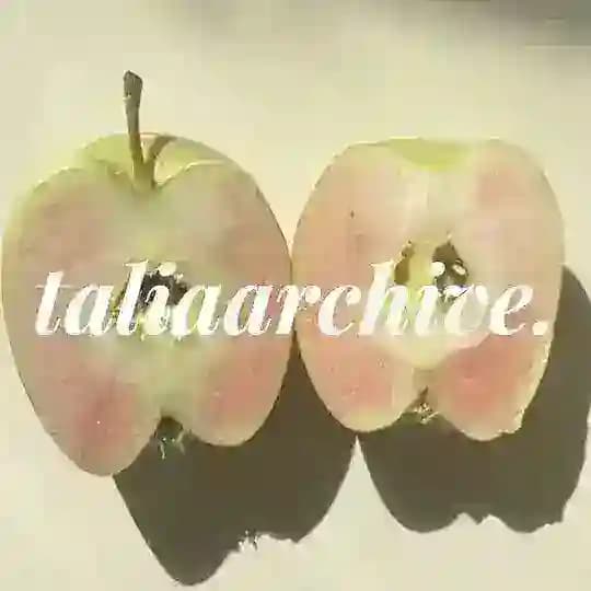 🍡 taliaarchive Profile