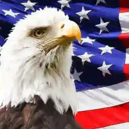 All About USA 🇺🇸 Profile