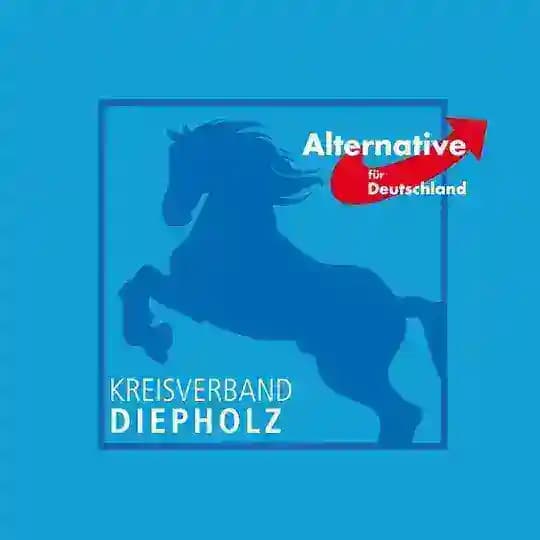 💙 AfD Kreisverband Diepholz Profile