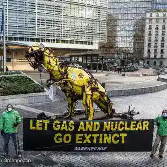 Mission " United for a better world " by GRT : Sea Shepherd, Greenpeace, WWF and NatureFreaks fighting for our Planet / Erde Profile