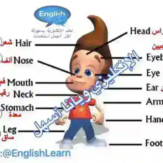 الانكليزي ويانا أسهل©️ Profile