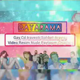 Gay arayış Profile