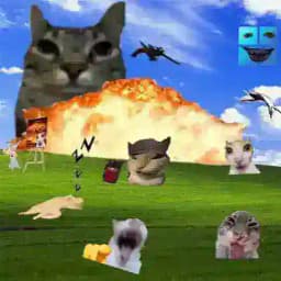 قروب روبلوكس Profile