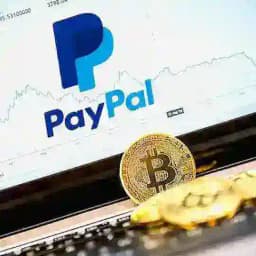 Telegram fans aidro Profile