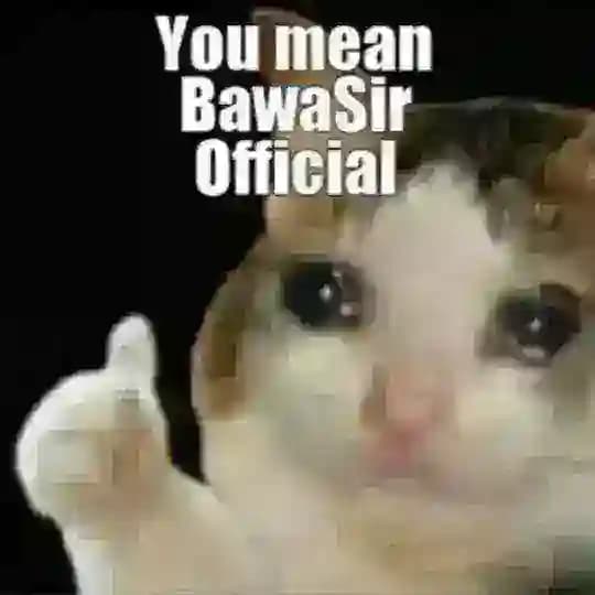 Yelegram Escrow Universe 🔥 Profile