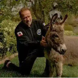 Arnold Schwarzenegger Profile