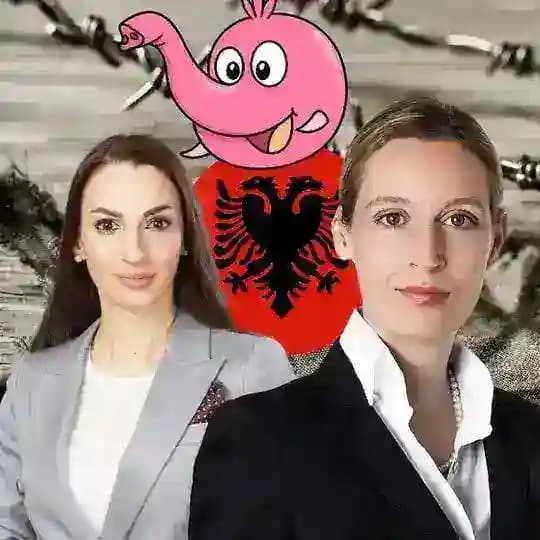 Bullshit by Alice Weidel, Enxhi Seli-Zacharias ☪️🇦🇱 und weitere 💩 AfD Politikern ohne Kopf und Fuss, und natürlich ohne Fakten Profile
