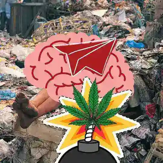 Behind Legal Cannabis / Alcohol and Cigarette Facts - Detrás de los hechos legales sobre legal cannabis, alcohol y cigarrillos Profile