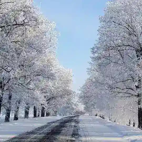 Edurne's Mail. Profile