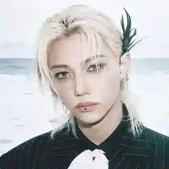 FELIX LEE | STRAY KIDS Profile