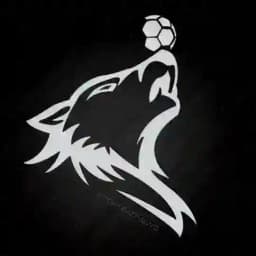 ⚽ Sport Bad News Profile