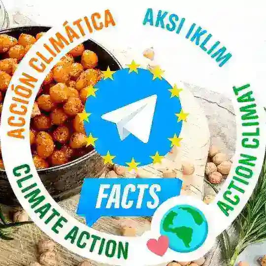 Fakten über die vegane Ernährung / Tierschutzrecht / Die Militante Veganerin by NatureFreaks / Swisssthetics / Rationalfood Profile