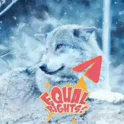 Wolf Animal Rights on Telegram by GRT : No death penalty to wolves - death sentence instead to criminals for animal torture! Profile