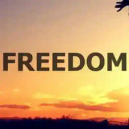 Australiaforfreedom Profile