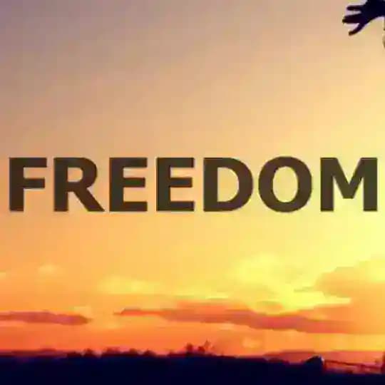 Australiaforfreedom Profile