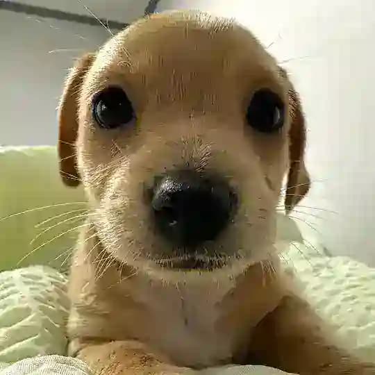 $BILLY PORTAL Profile