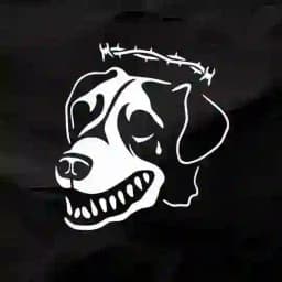 мертвых собак лай Profile