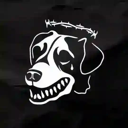 мертвых собак лай Profile