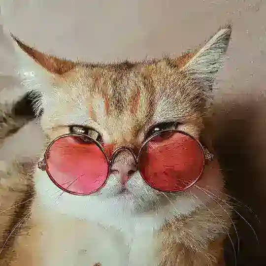 Переходник (Резерв Обои) Profile